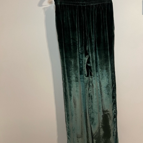 J BRAND Ardon Pull-On Elastic Waist Wide Leg Velvet Pants | Size Medium - Picture 5 of 8